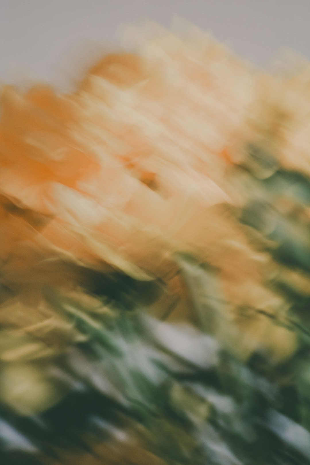 盯着拾荒老人不放，是怜悯？还是想遮羞？